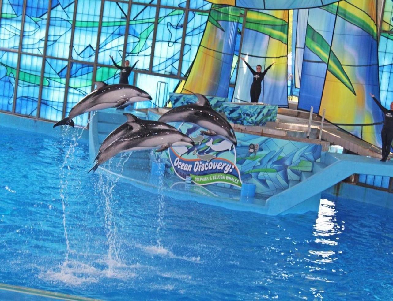 Gameroom, Bbq & Hot-Tub By Lackland & Seaworld Σαν Αντόνιο Εξωτερικό φωτογραφία